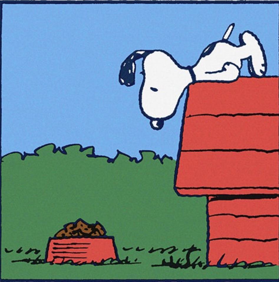 A boy wearing a yellow shirt with a black zigzag